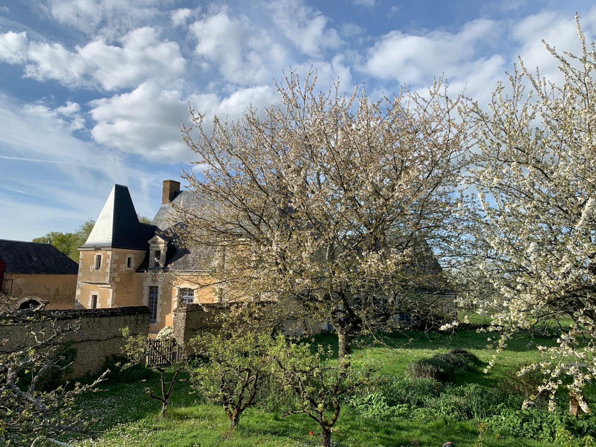 Chateau De La Faverie Chambres D Hotes Beaumont-Pied-de-Boeuf  Extérieur photo