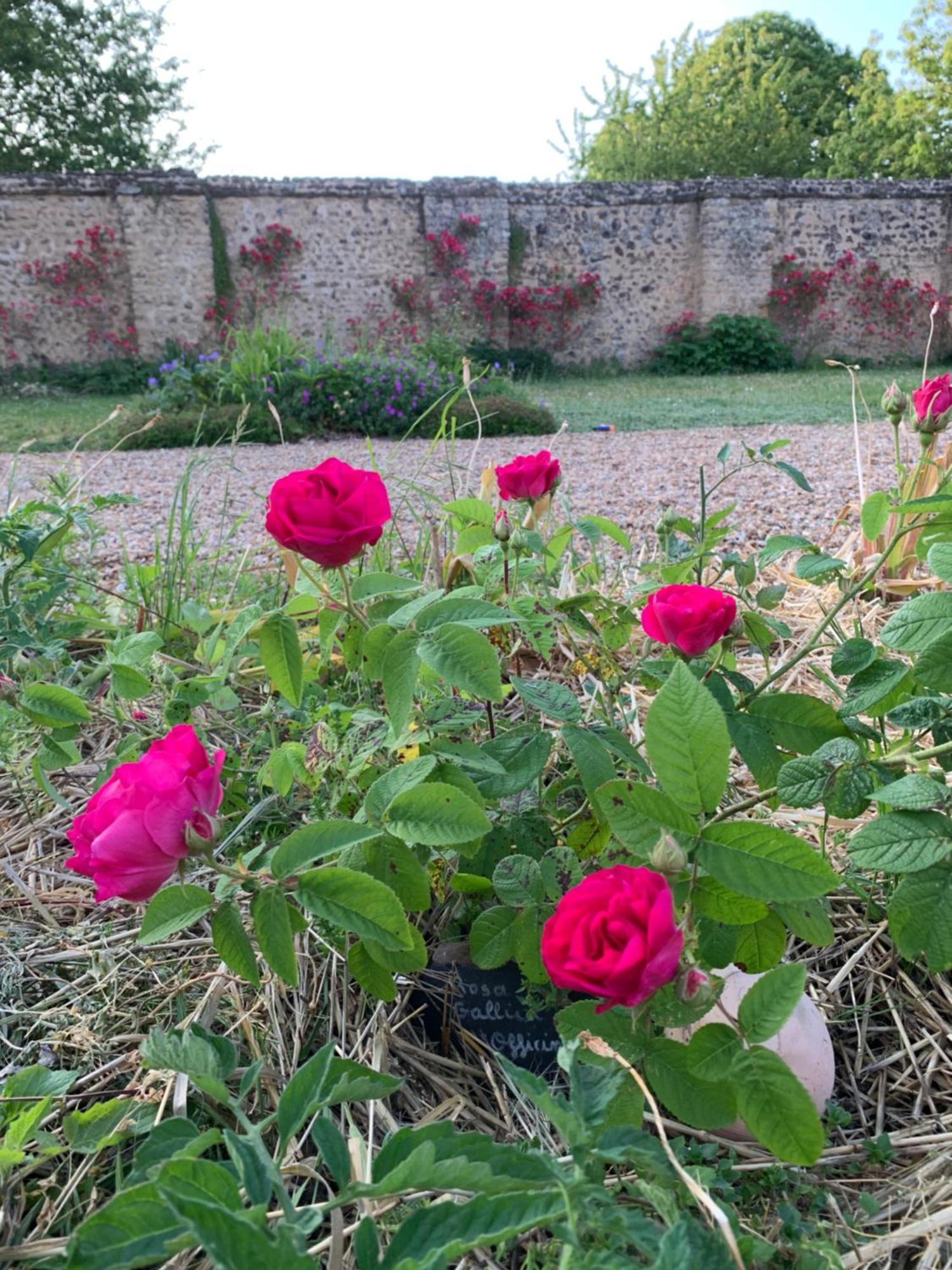 Chateau De La Faverie Chambres D Hotes Beaumont-Pied-de-Boeuf  Extérieur photo